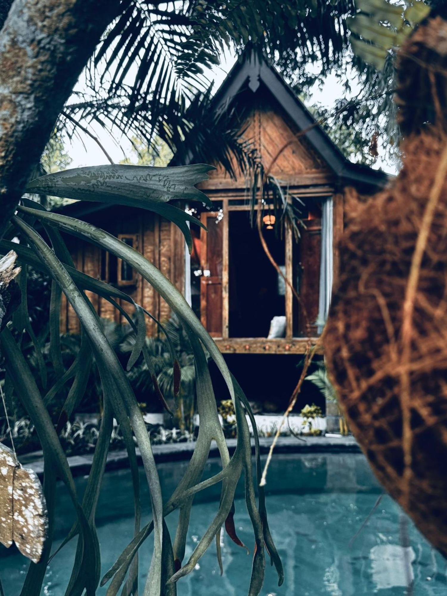 Resort Jungleroom Canggu Eksteriør bilde